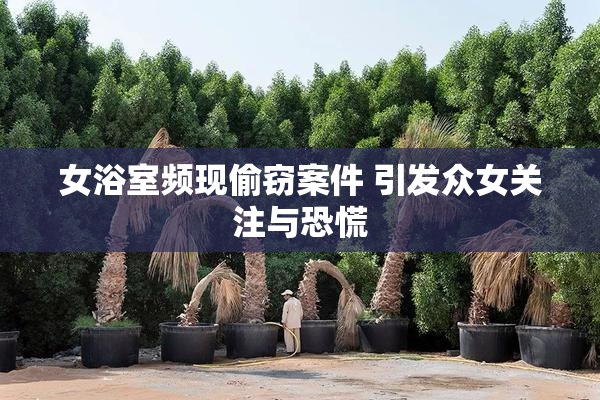 女浴室频现偷窃案件 引发众女关注与恐慌