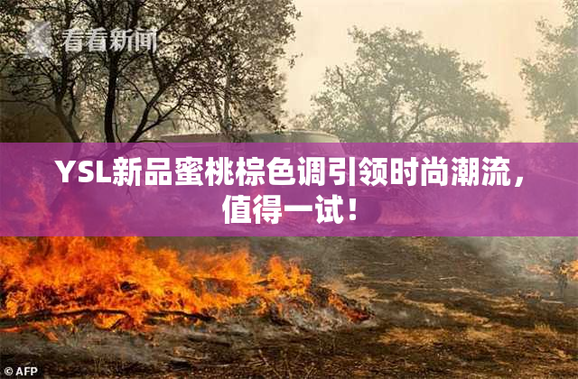 YSL新品蜜桃棕色调引领时尚潮流，值得一试！