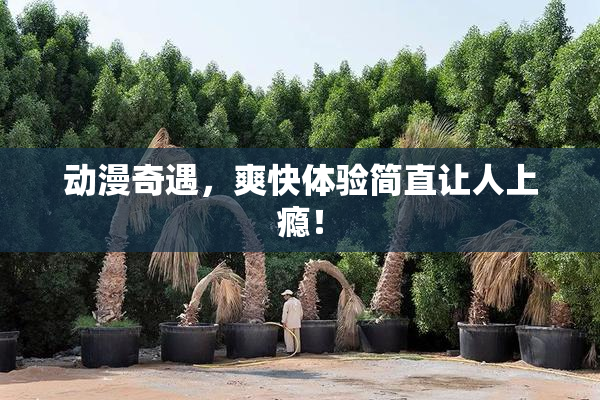 动漫奇遇，爽快体验简直让人上瘾！