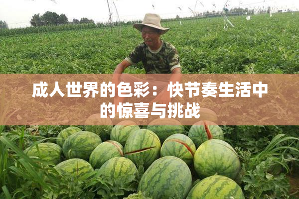 成人世界的色彩：快节奏生活中的惊喜与挑战