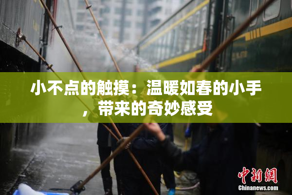 小不点的触摸：温暖如春的小手，带来的奇妙感受