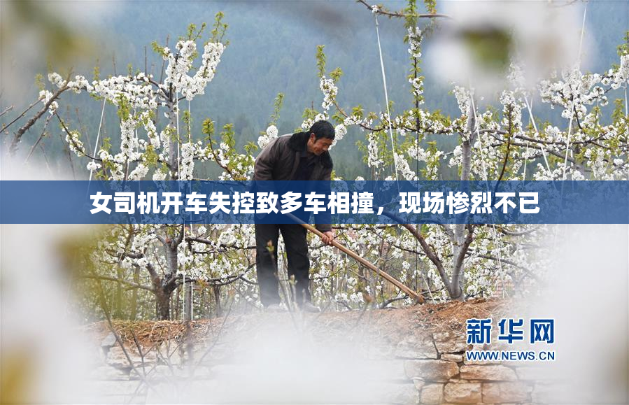 女司机开车失控致多车相撞，现场惨烈不已