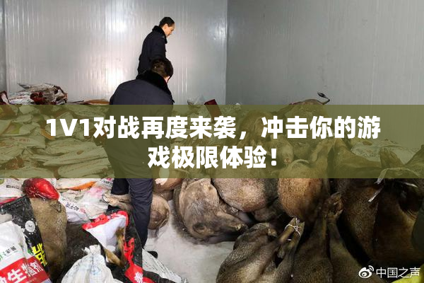 1V1对战再度来袭，冲击你的游戏极限体验！