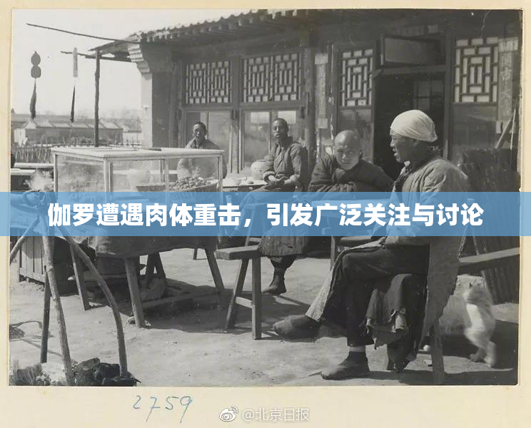 伽罗遭遇肉体重击，引发广泛关注与讨论