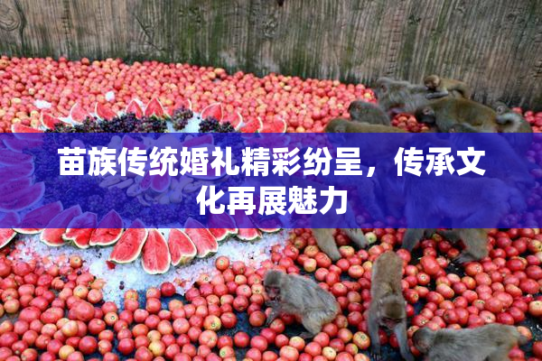 苗族传统婚礼精彩纷呈，传承文化再展魅力