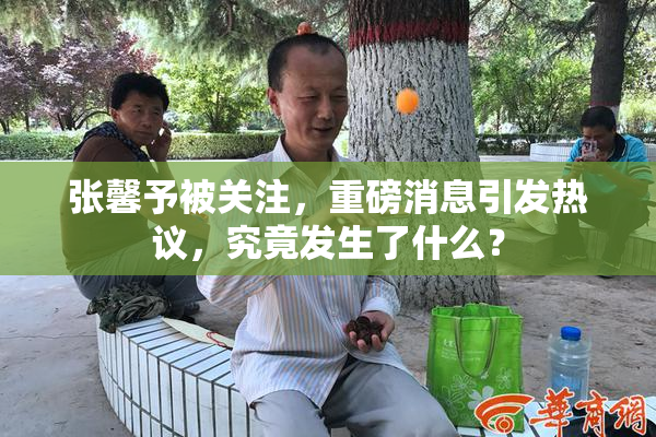 张馨予被关注，重磅消息引发热议，究竟发生了什么？