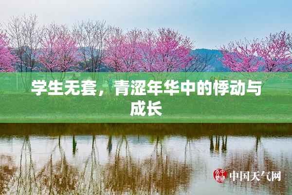 学生无套，青涩年华中的悸动与成长