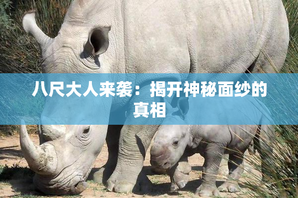 八尺大人来袭：揭开神秘面纱的真相