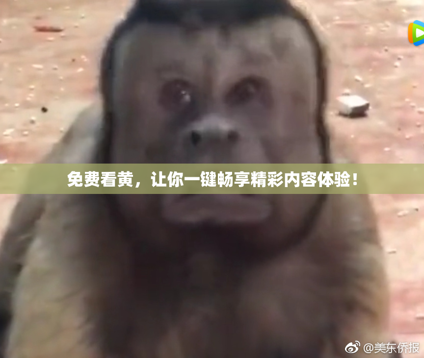 免费看黄，让你一键畅享精彩内容体验！