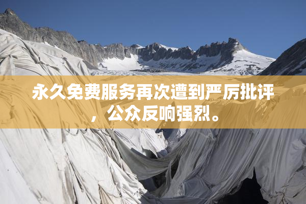 永久免费服务再次遭到严厉批评，公众反响强烈。