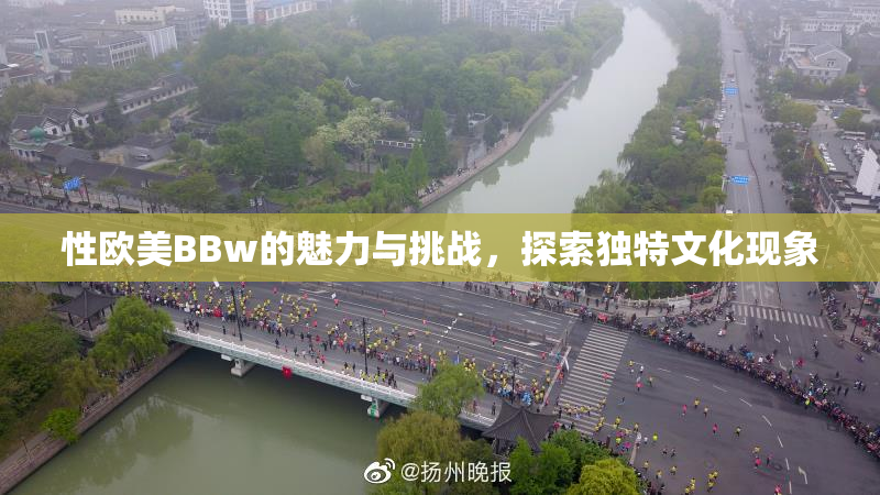 性欧美BBw的魅力与挑战，探索独特文化现象