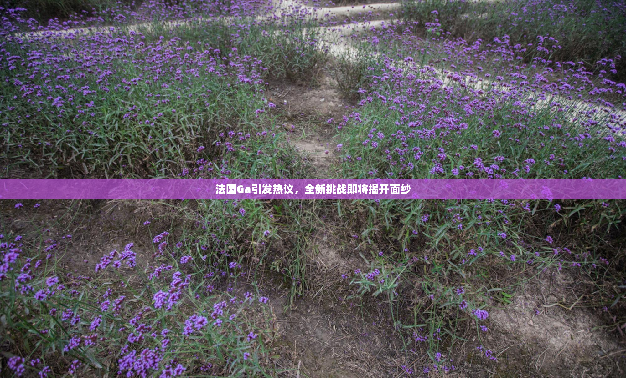 法国Ga引发热议，全新挑战即将揭开面纱