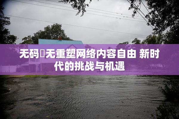 无码囯无重塑网络内容自由 新时代的挑战与机遇