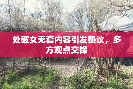 处破女无套内容引发热议，多方观点交锋