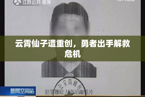 云霄仙子遭重创，勇者出手解救危机