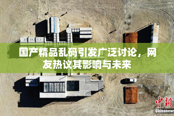 国产精品乱码引发广泛讨论，网友热议其影响与未来