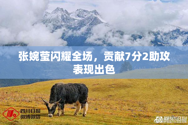 张婉莹闪耀全场，贡献7分2助攻表现出色