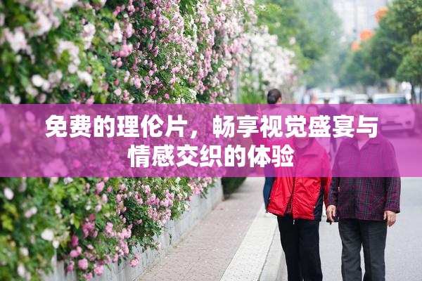 免费的理伦片，畅享视觉盛宴与情感交织的体验