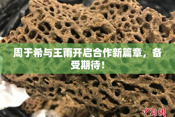 周于希与王雨开启合作新篇章，备受期待！
