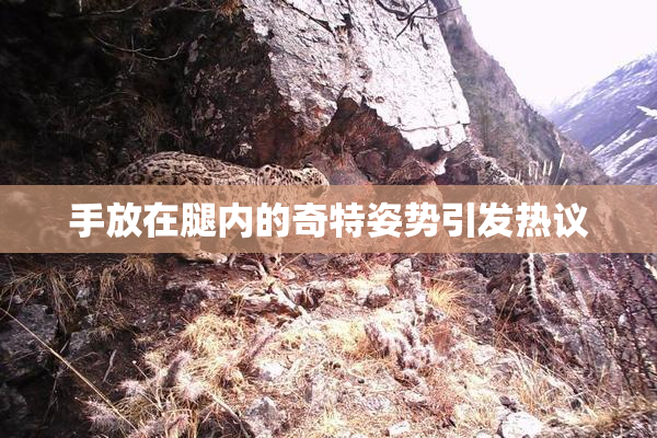 手放在腿内的奇特姿势引发热议