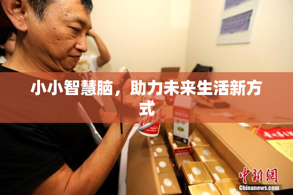 小小智慧脑，助力未来生活新方式