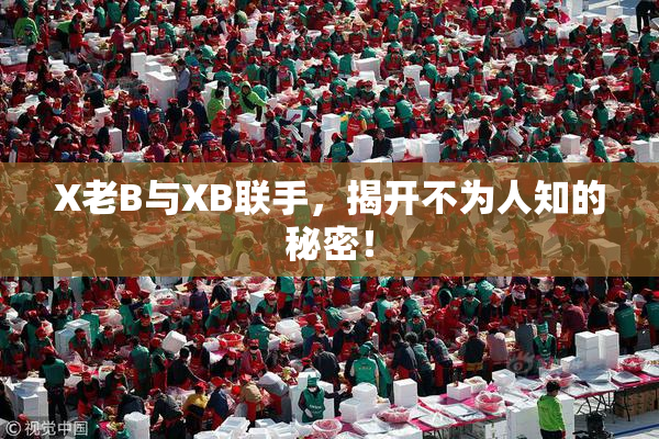 X老B与XB联手，揭开不为人知的秘密！