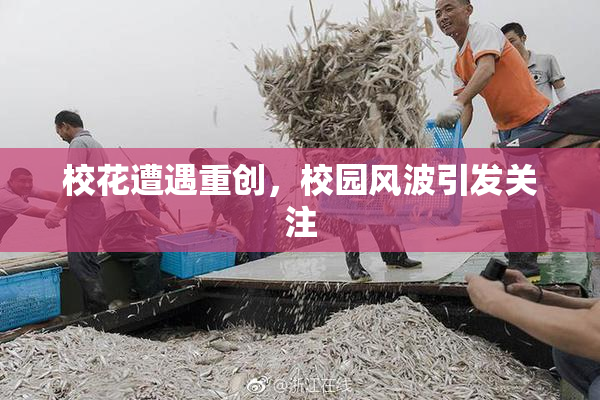 校花遭遇重创，校园风波引发关注