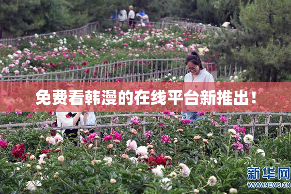 免费看韩漫的在线平台新推出！