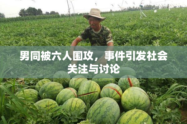 男同被六人围攻，事件引发社会关注与讨论