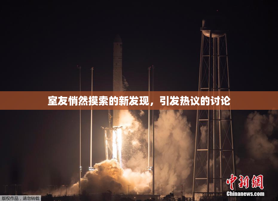 室友悄然摸索的新发现，引发热议的讨论