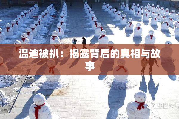 温迪被扒：揭露背后的真相与故事