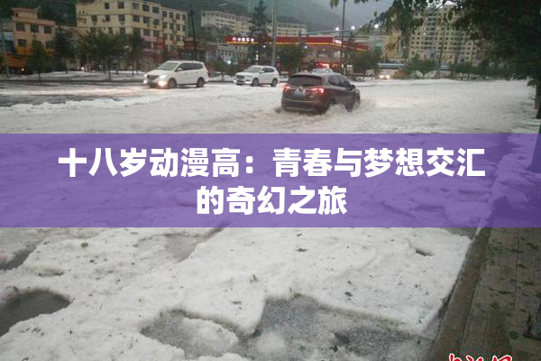 十八岁动漫高：青春与梦想交汇的奇幻之旅