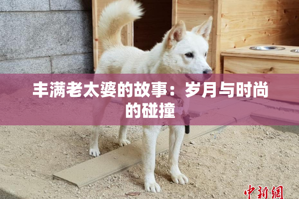 丰满老太婆的故事：岁月与时尚的碰撞