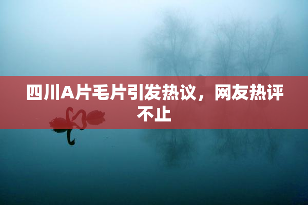 四川A片毛片引发热议，网友热评不止
