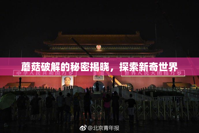 蘑菇破解的秘密揭晓，探索新奇世界