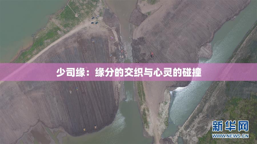 少司缘：缘分的交织与心灵的碰撞