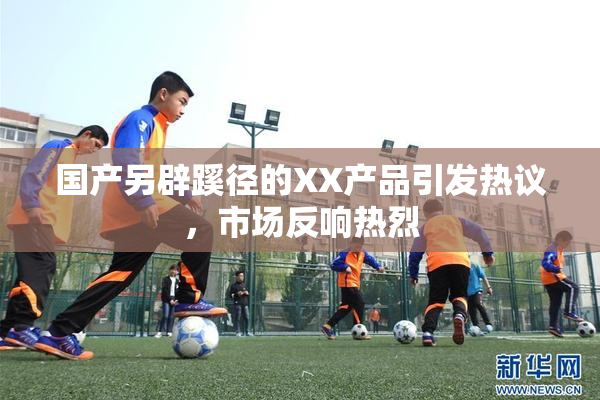 国产另辟蹊径的XX产品引发热议，市场反响热烈