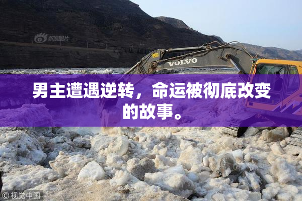 男主遭遇逆转，命运被彻底改变的故事。