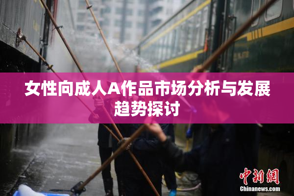 女性向成人A作品市场分析与发展趋势探讨