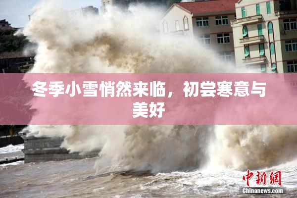 冬季小雪悄然来临，初尝寒意与美好