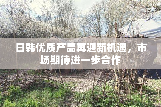 日韩优质产品再迎新机遇，市场期待进一步合作
