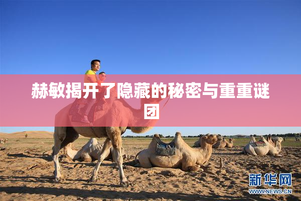 赫敏揭开了隐藏的秘密与重重谜团