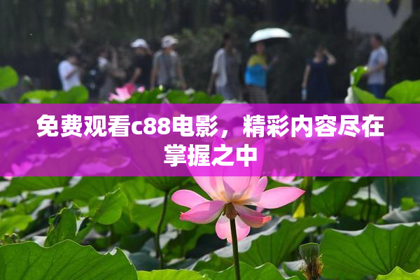 免费观看c88电影，精彩内容尽在掌握之中