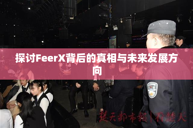探讨FeerX背后的真相与未来发展方向