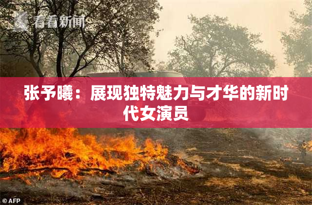 张予曦：展现独特魅力与才华的新时代女演员