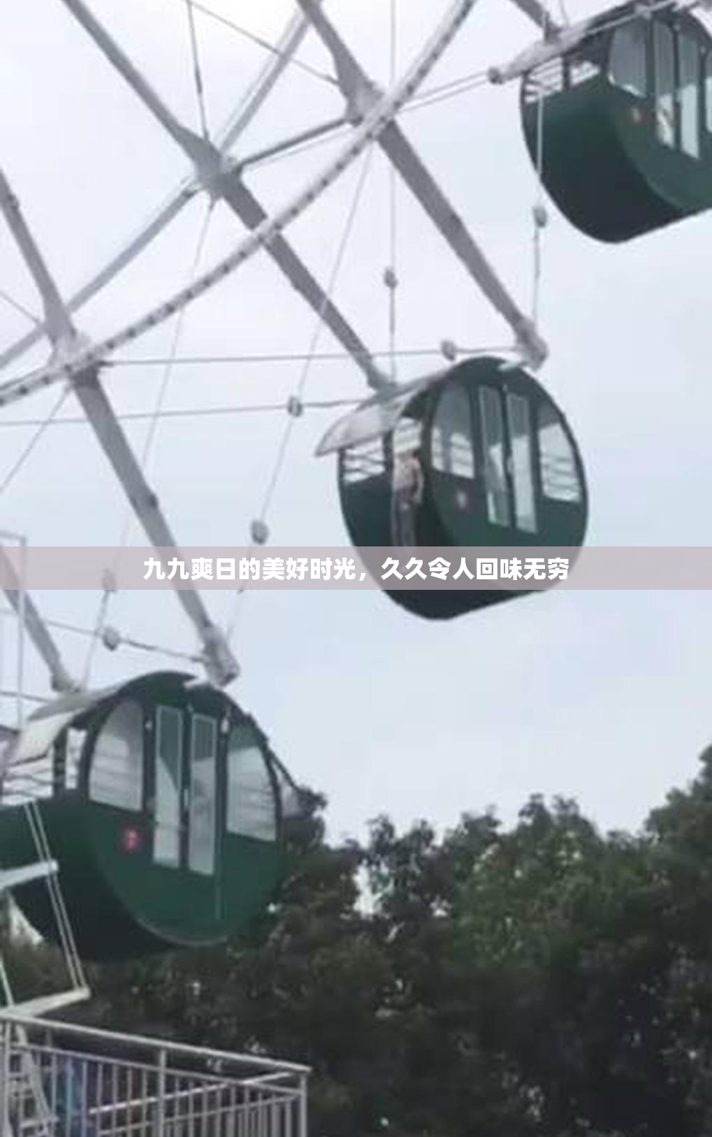 九九爽日的美好时光，久久令人回味无穷