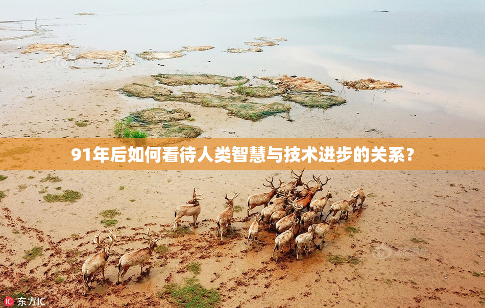 91年后如何看待人类智慧与技术进步的关系？