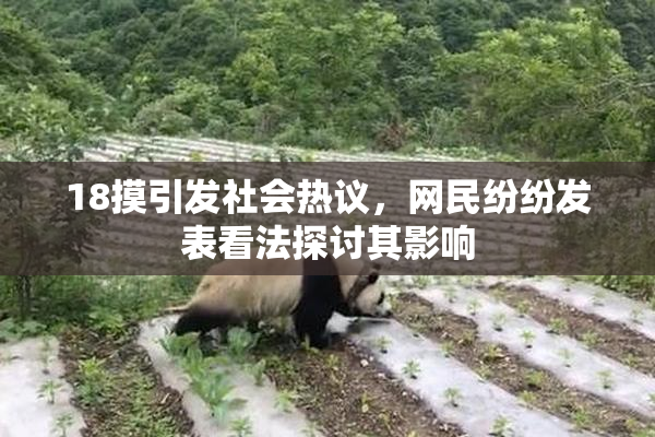 18摸引发社会热议，网民纷纷发表看法探讨其影响