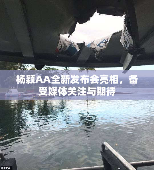 杨颖AA全新发布会亮相，备受媒体关注与期待