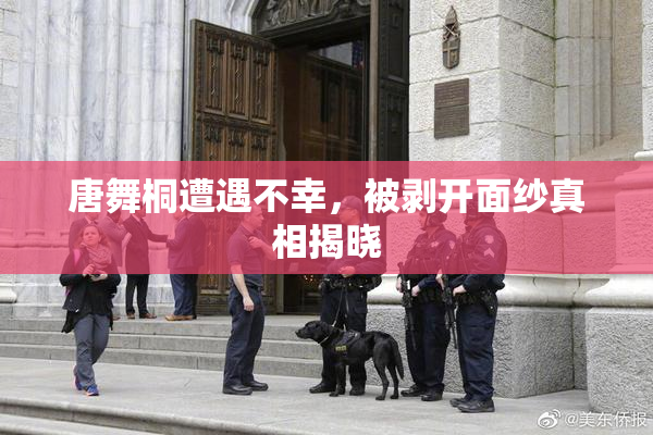 唐舞桐遭遇不幸，被剥开面纱真相揭晓